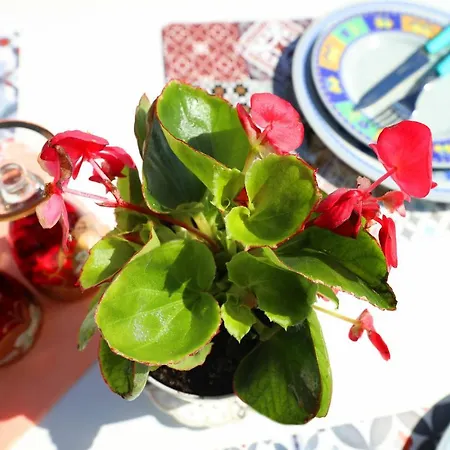 Couette-café Ulcas Guest Huse