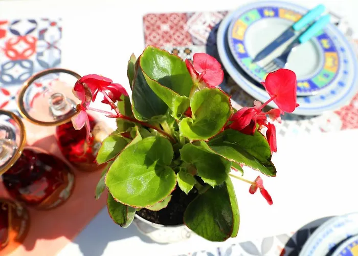 Couette-café Ulcas Guest Huse